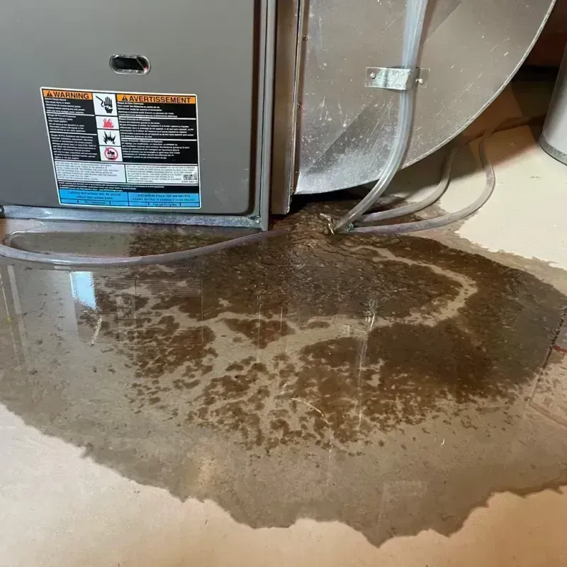 Appliance Leak Cleanup in Dayton, TN